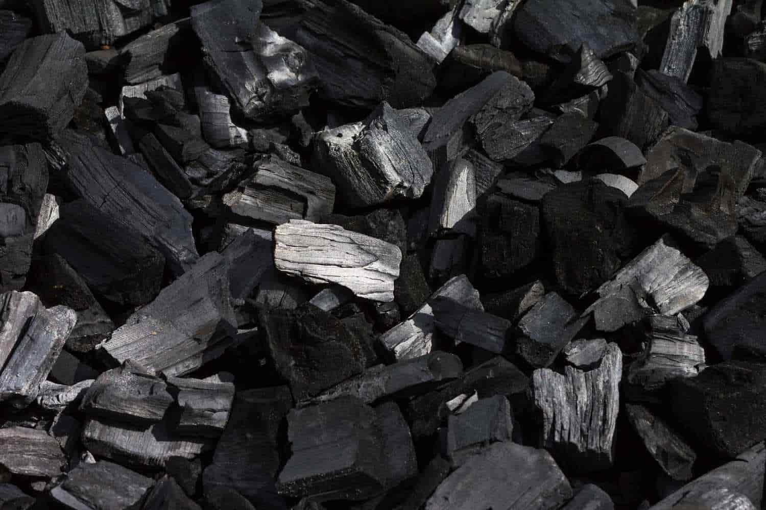 Coal